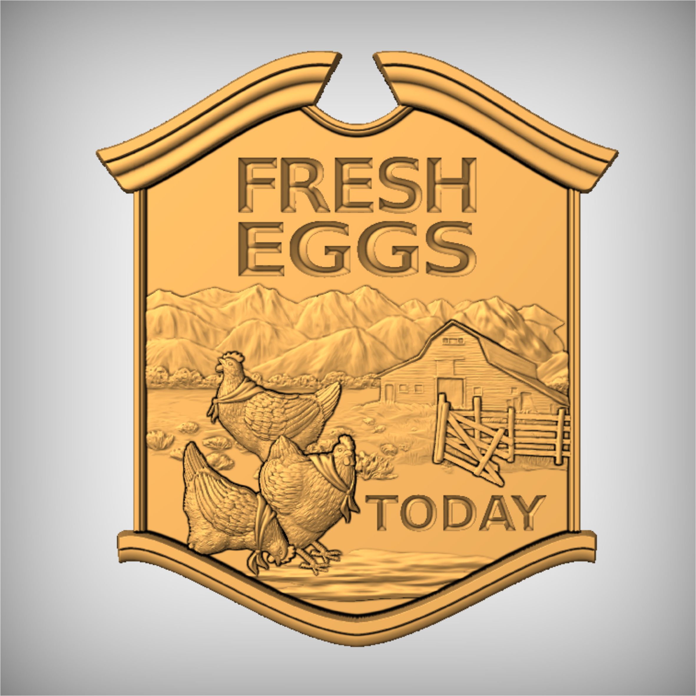 Fresh Eggs - Today